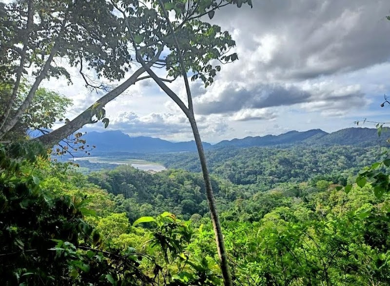 Photo 6 at Parque Nacional Madidi in Ucumari