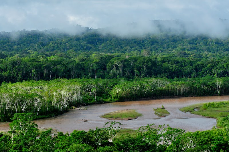 Photo 3 at Parque Nacional Madidi in Ucumari