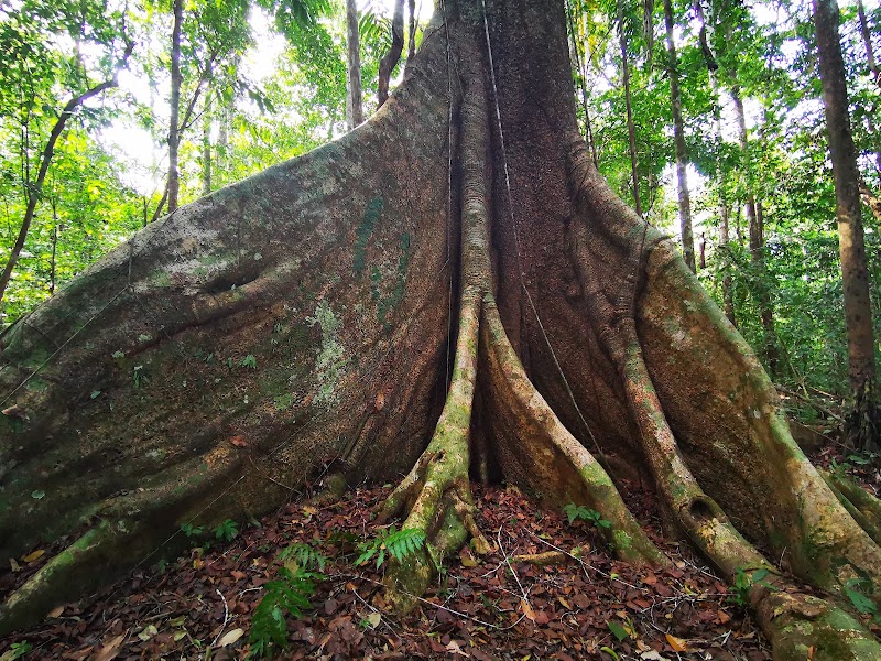 Photo 4 at Parque Nacional Madidi in Ucumari