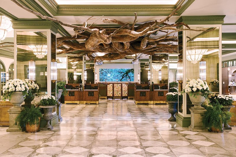 Photo 4 at Park MGM Las Vegas in Las Vegas