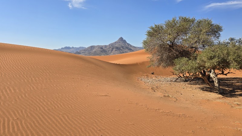 Photo 6 at NamibRand Nature Reserve in 