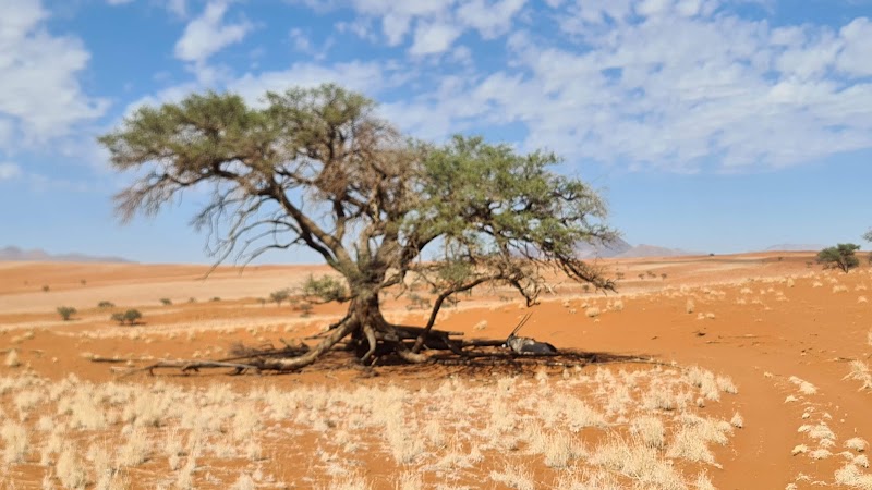 Photo 1 at NamibRand Nature Reserve in 
