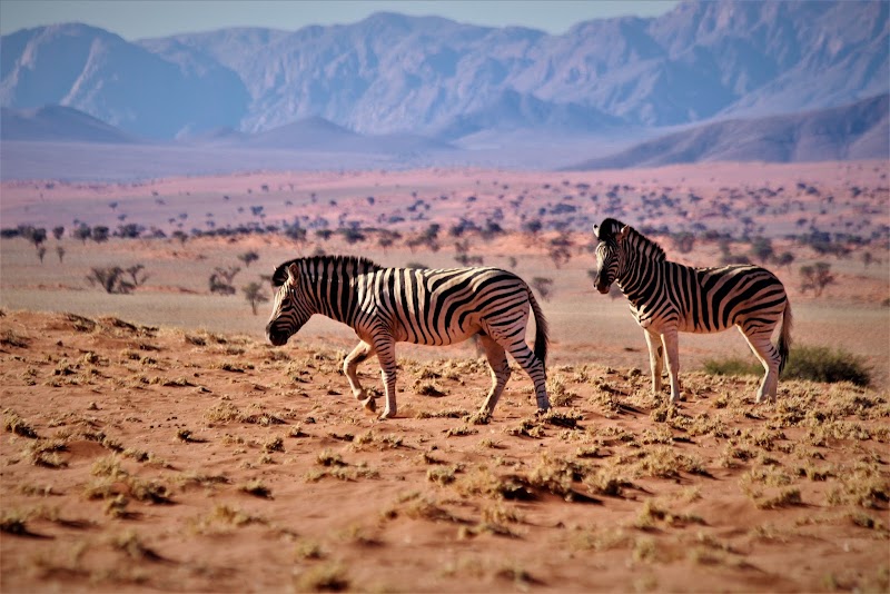 Photo 3 at NamibRand Nature Reserve in 