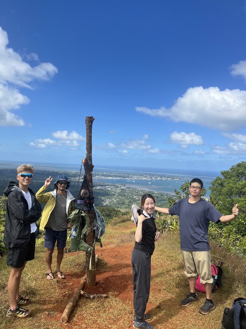Photo 3 at Mount Korobaba in Suva