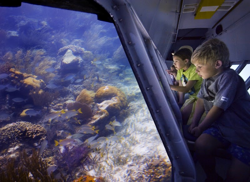 Photo 6 at Undersea Explorer, Caicos Tours in 