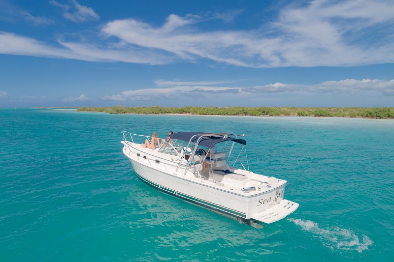 Photo 2 at Undersea Explorer, Caicos Tours in 