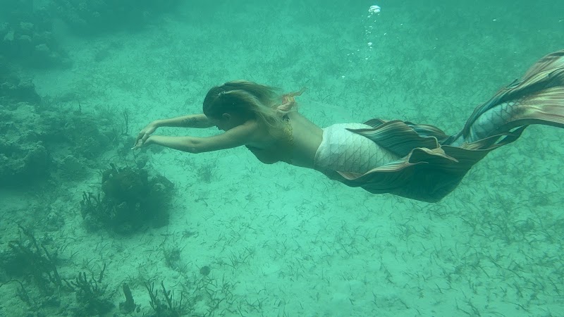 Photo 5 at Undersea Explorer, Caicos Tours in 