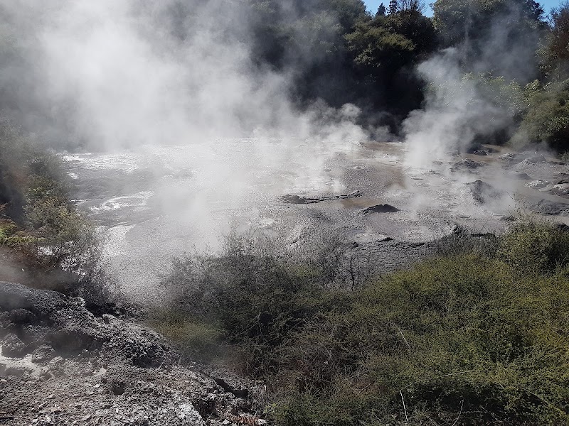 Photo 5 at Pohutu Geyser in Rotorua