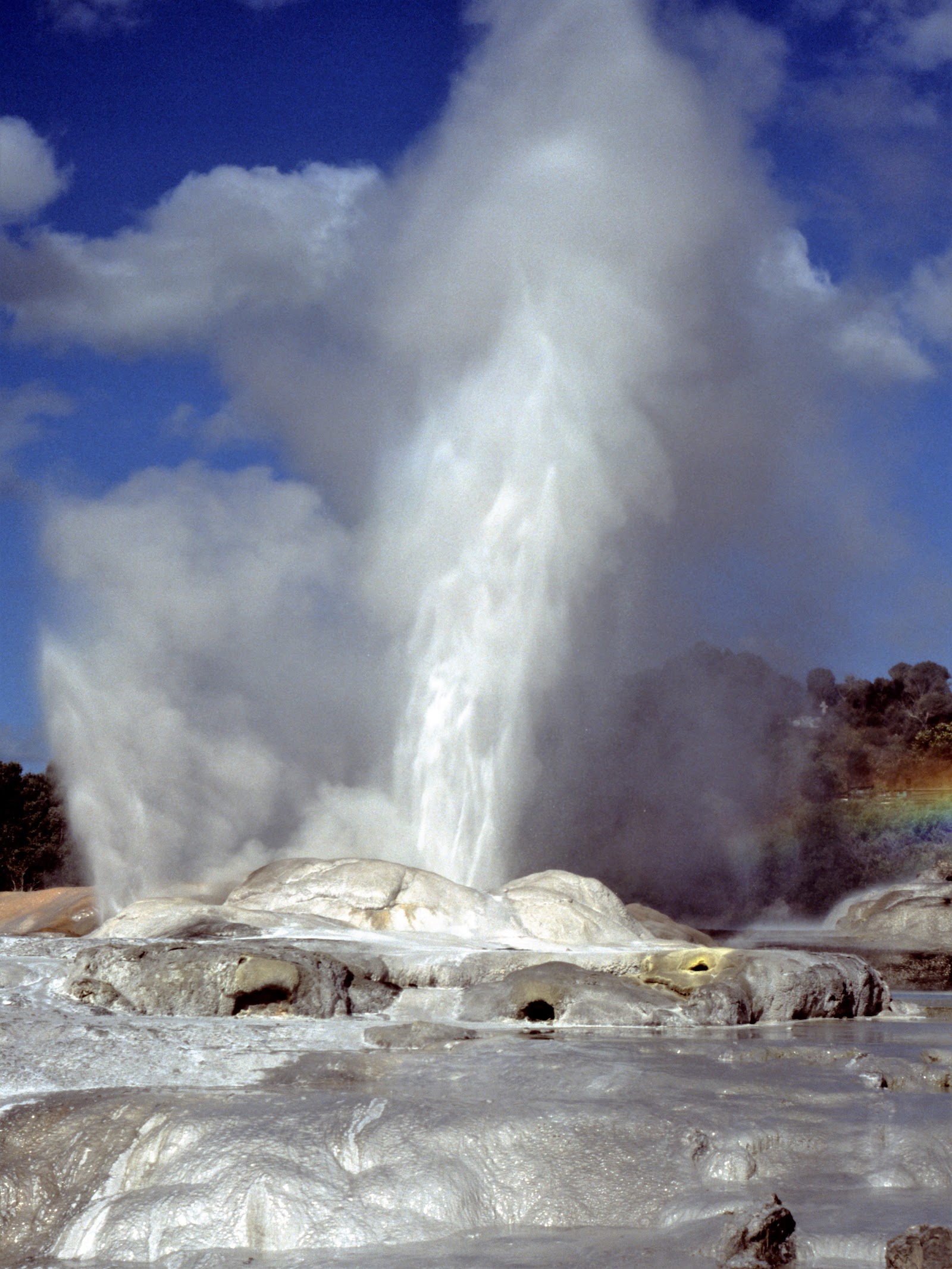 Pohutu Geyser in Rotorua
