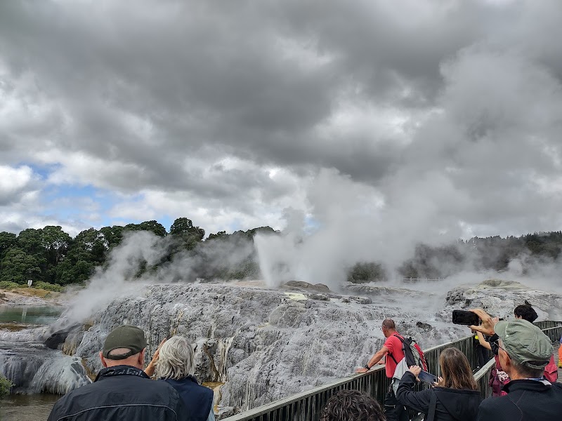 Photo 1 at Pohutu Geyser in Rotorua