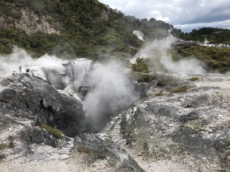 Photo 2 at Pohutu Geyser in Rotorua
