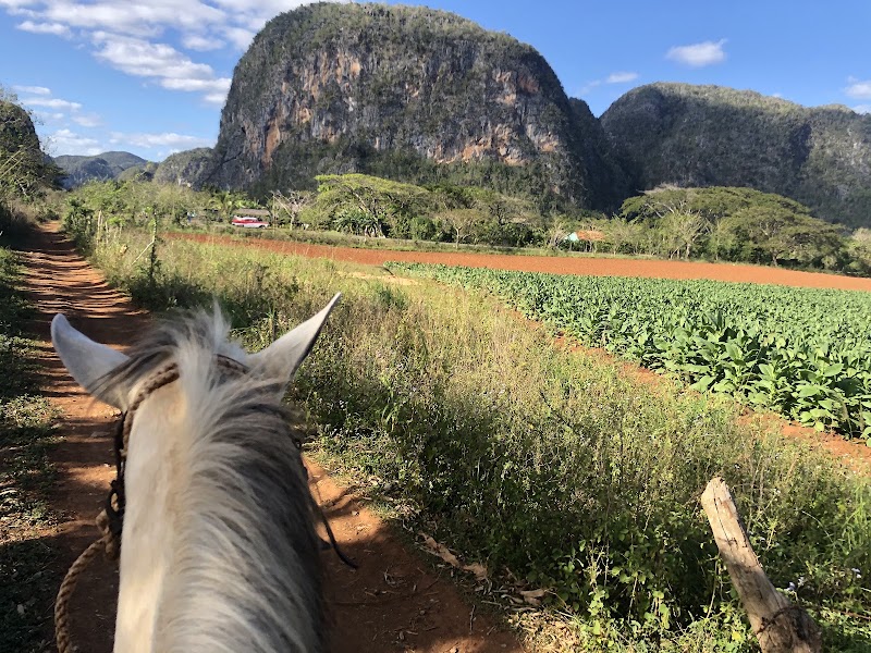 Photo 3 at Viñales Valley in Vinales