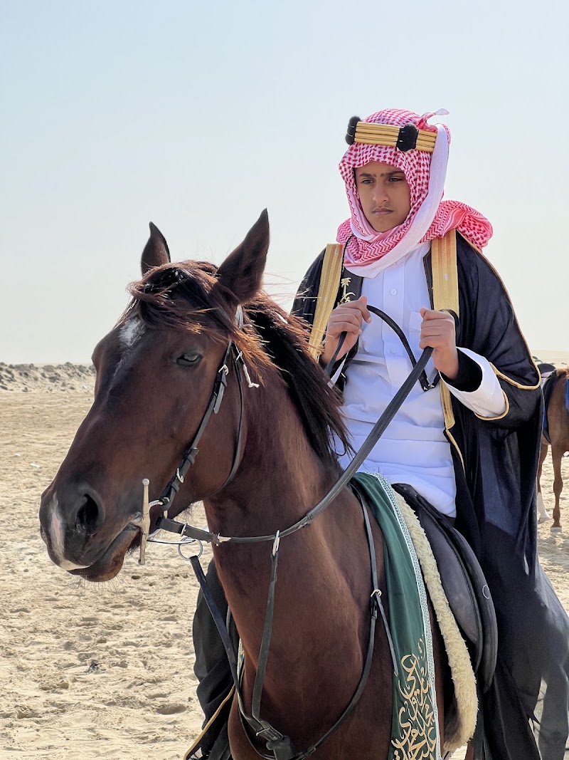 Photo 5 at Adventure Khobar in Al Qatif