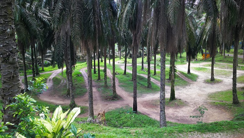 Photo 4 at Bilut Extreme Park in Bentong