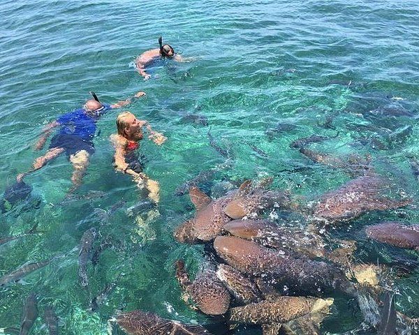 Photo 4 at Hol Chan Marine Reserve in San Pedro