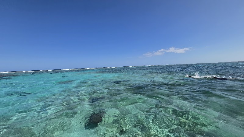 Photo 6 at Hol Chan Marine Reserve in San Pedro