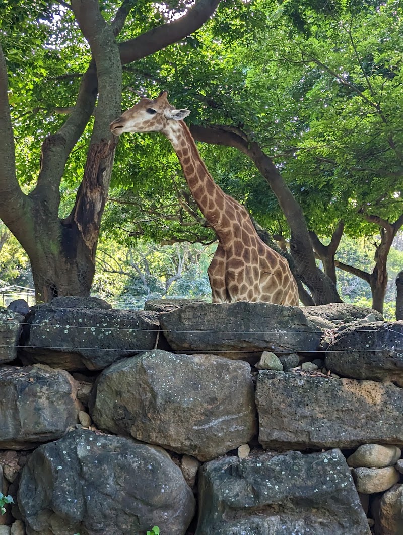 Photo 5 at Casela Nature Parks in Cascavelle