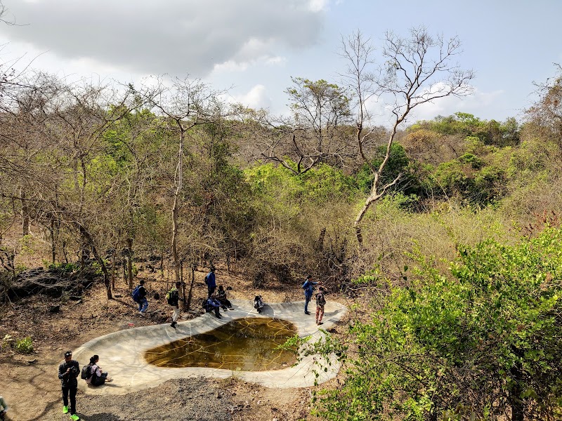 Sanjay Gandhi National Park in Mumbai