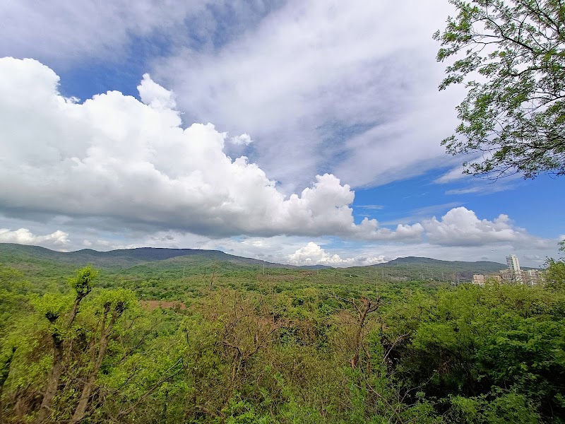 Photo 4 at Sanjay Gandhi National Park in Mumbai