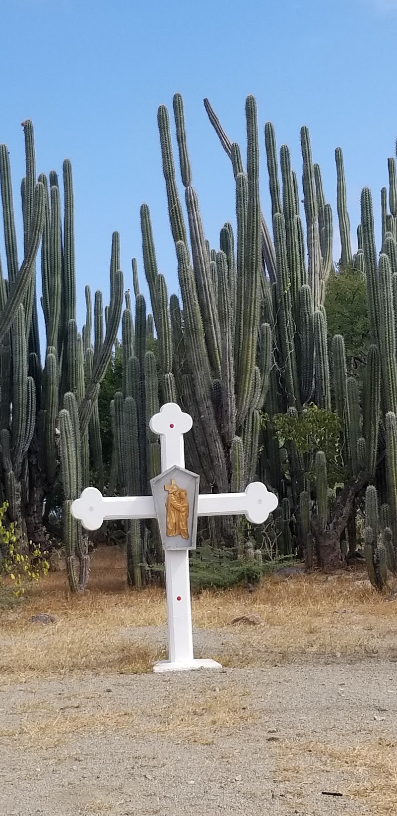 Photo 2 at Alto Vista Chapel in Noord