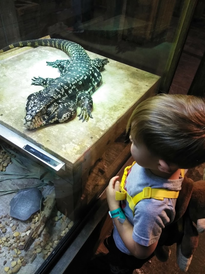 Photo 3 at Orlando Science Center in Orlando