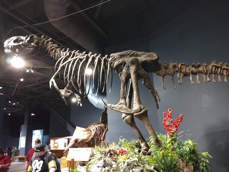 Photo 5 at Orlando Science Center in Orlando