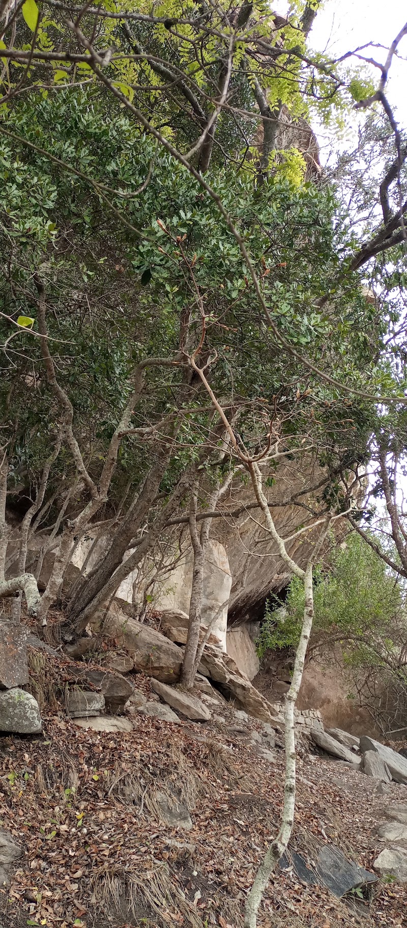 Photo 1 at Kondoa Irangi Rock Paintings in Kolo