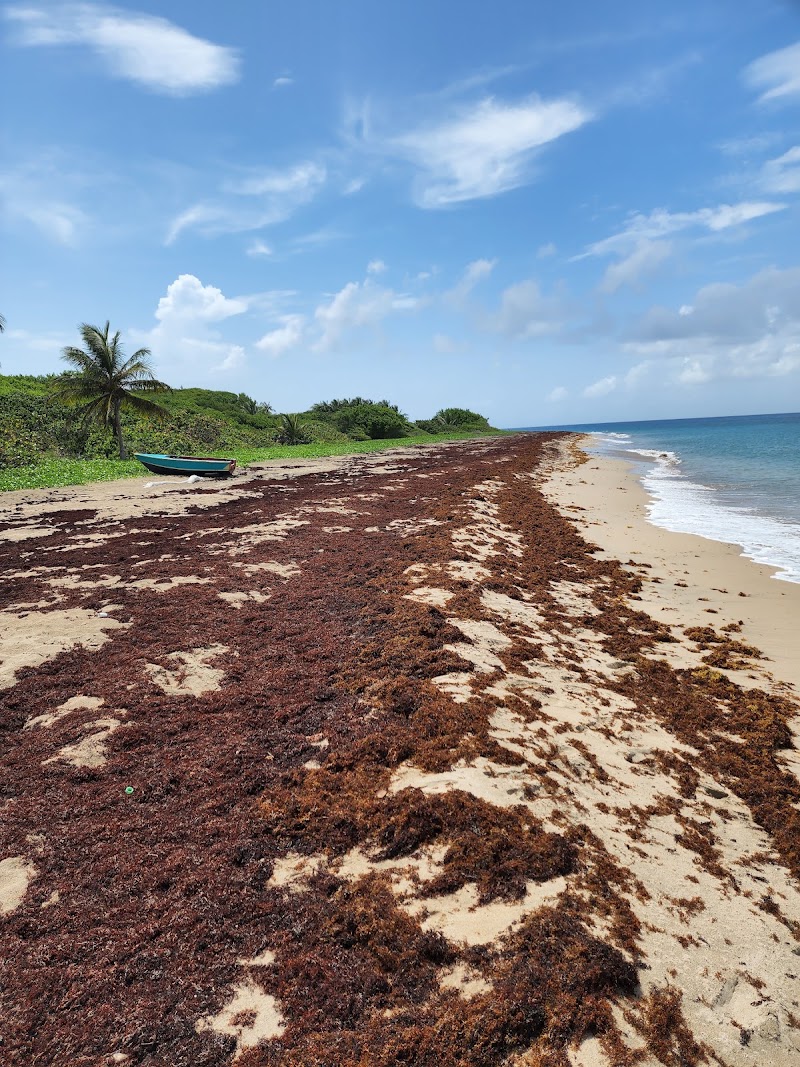 Photo 2 at Levera Beach in Sauteurs