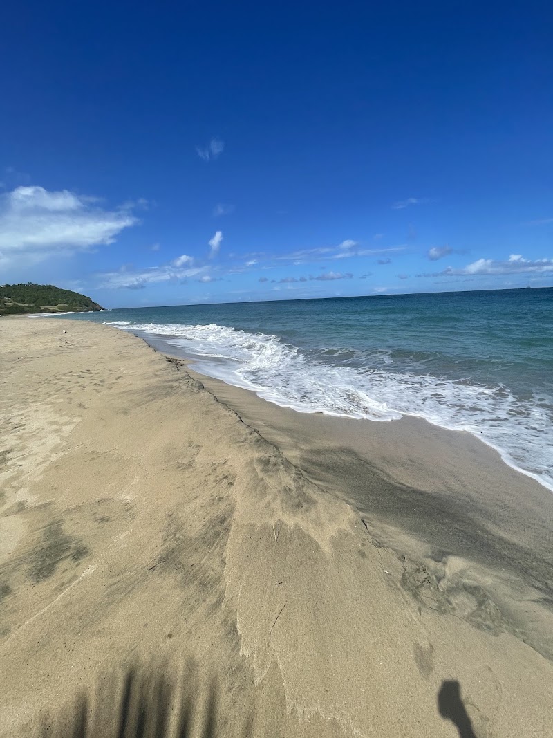 Photo 4 at Levera Beach in Sauteurs