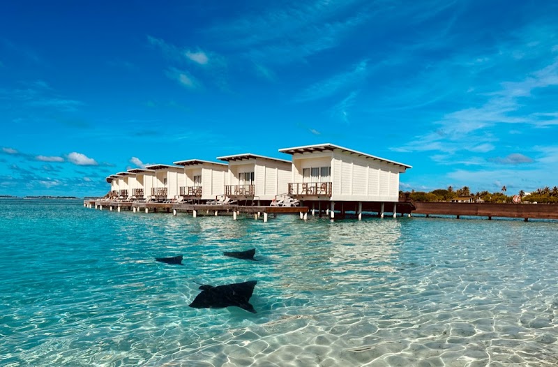 Photo 4 at Holiday Inn Resort Kandooma Maldives by IHG in 