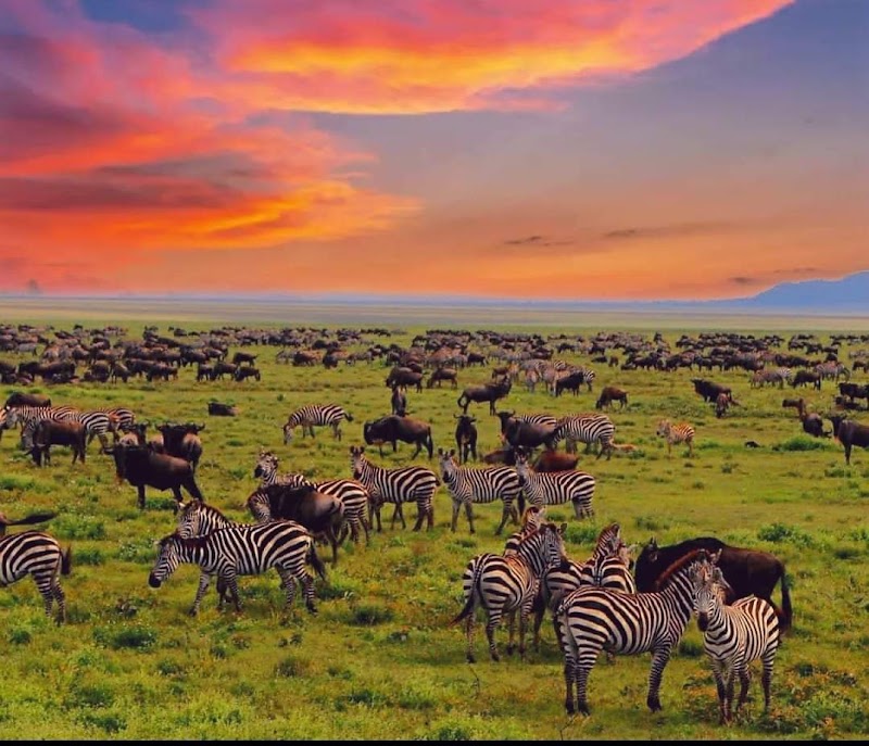 Photo 1 at Ngorongoro Conservation Area in 