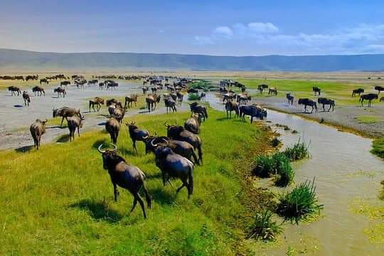 Photo 2 at Ngorongoro Conservation Area in 