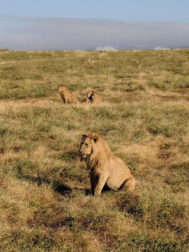 Photo 3 at Ngorongoro Conservation Area in 
