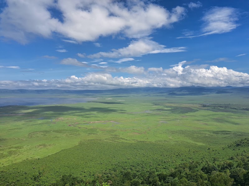 Ngorongoro Conservation Area in 