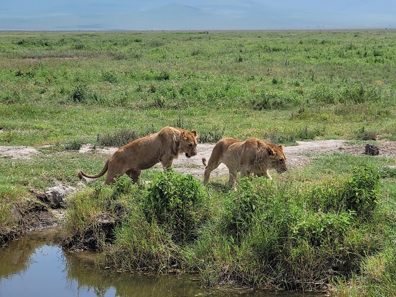 Photo 6 at Ngorongoro Conservation Area in 