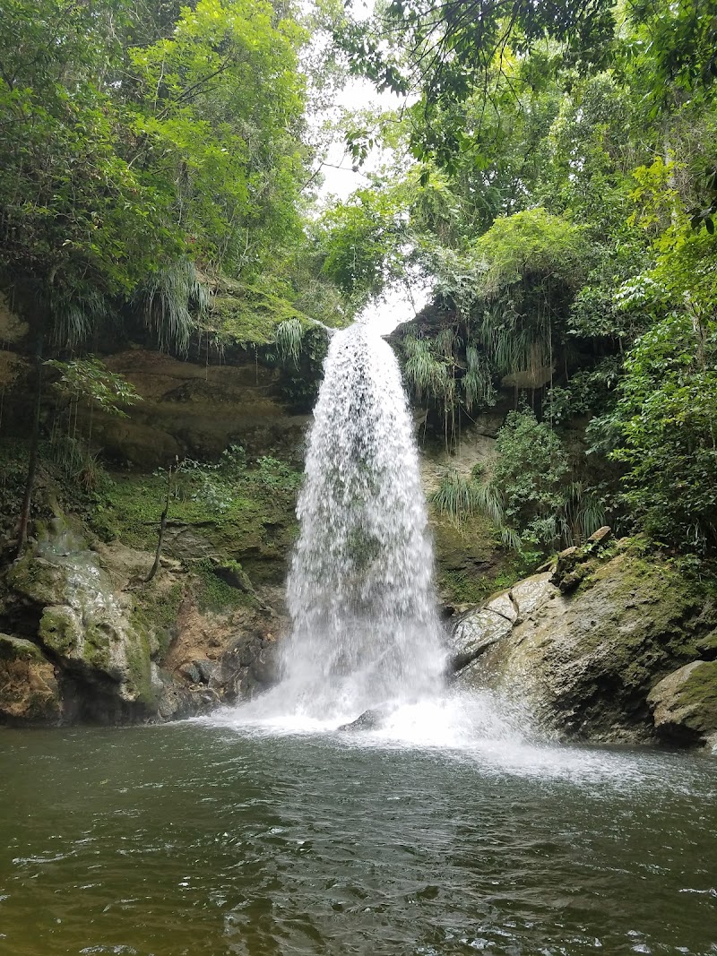 Photo 2 at Cascada Gozalandia in 