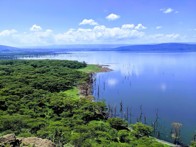 Lake Nakuru National Park in Nakuru