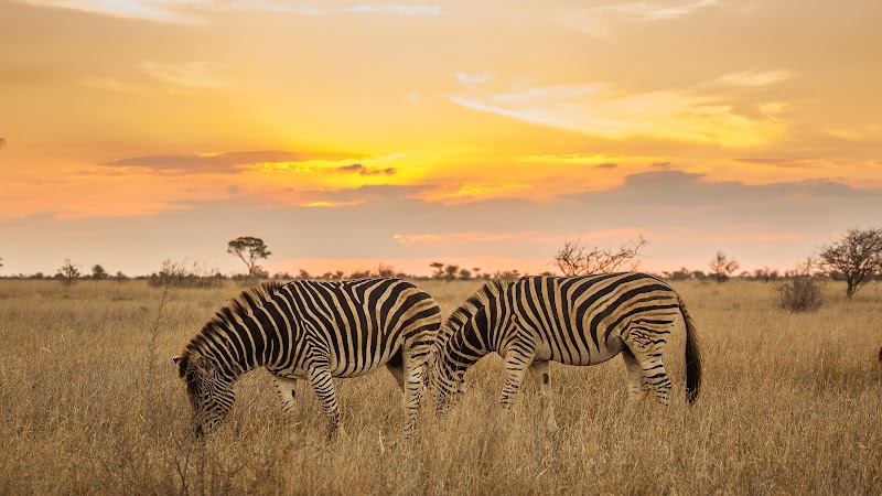 Photo 5 at Kruger National Park in 