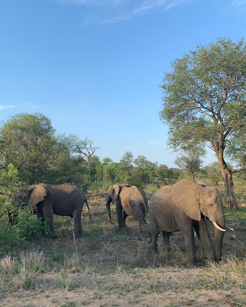 Photo 3 at Kruger National Park in 