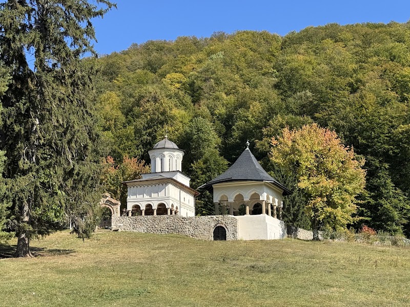 Photo 1 at Hurezi Monastery in Romanii de Jos