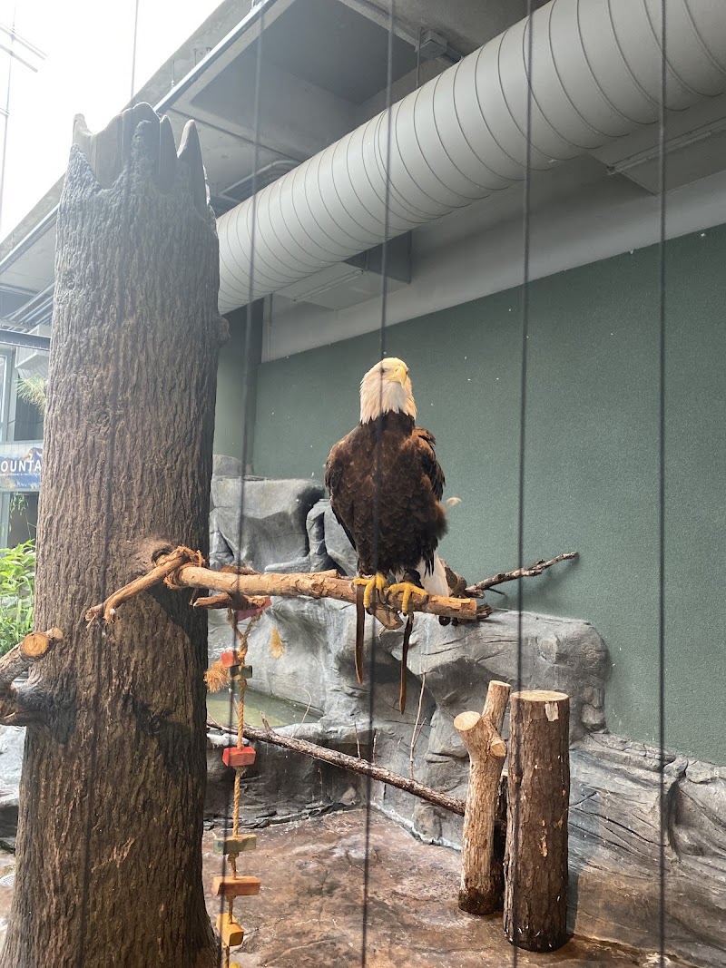 Photo 2 at South Carolina Aquarium in Charleston