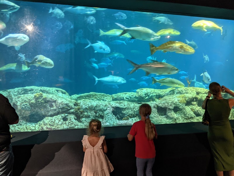 Photo 5 at South Carolina Aquarium in Charleston
