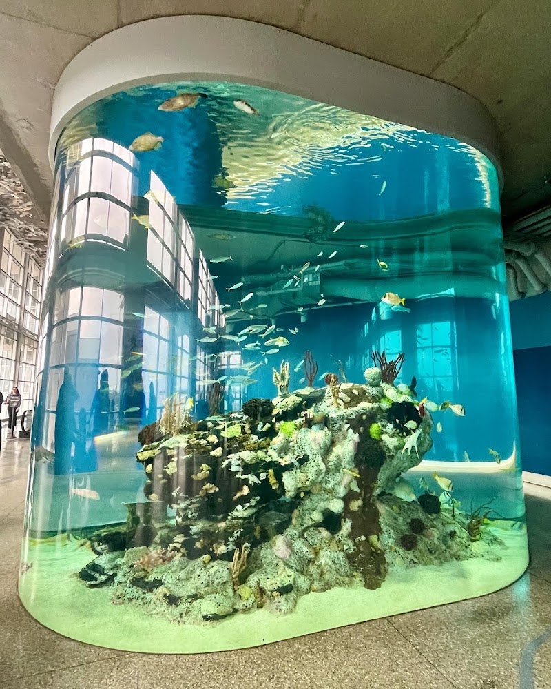 Photo 1 at South Carolina Aquarium in Charleston