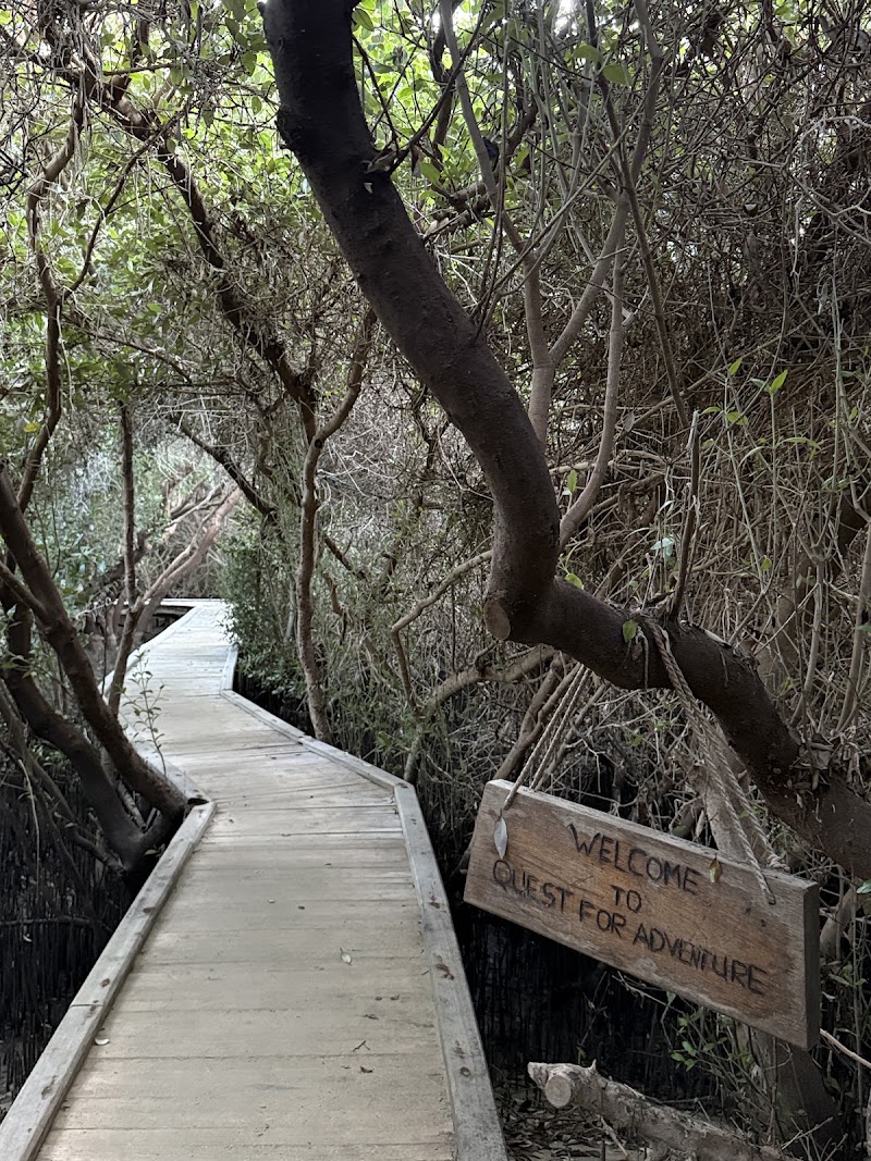 Photo 4 at Quest for Adventure - Ajman Mangrove Nature Tours in Ajman