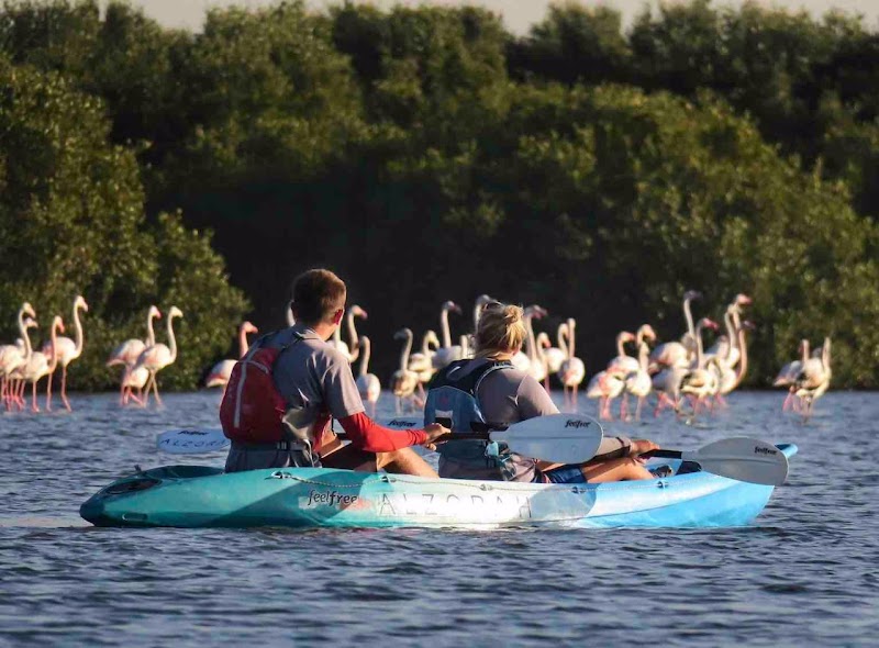 Quest for Adventure - Ajman Mangrove Nature Tours in Ajman