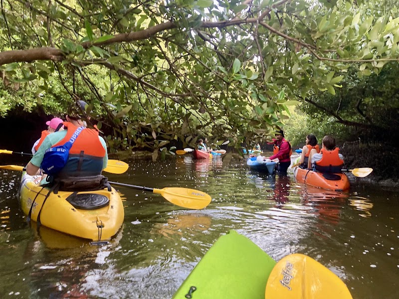 Photo 2 at Quest for Adventure - Ajman Mangrove Nature Tours in Ajman