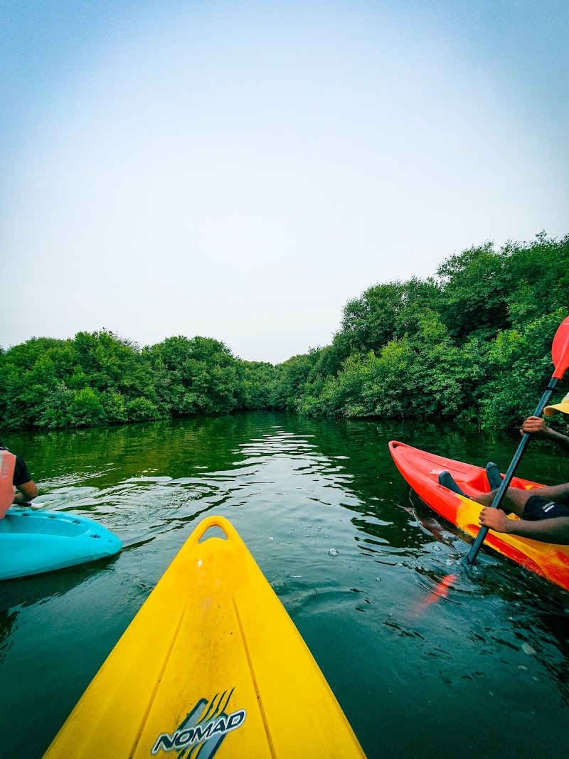Photo 1 at Quest for Adventure - Ajman Mangrove Nature Tours in Ajman