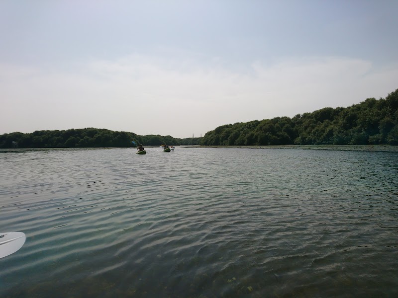 Photo 3 at Quest for Adventure - Ajman Mangrove Nature Tours in Ajman