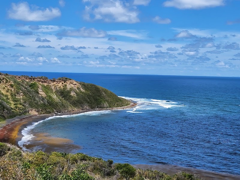 Photo 3 at St. Kitts Scenic Railway in Basseterre