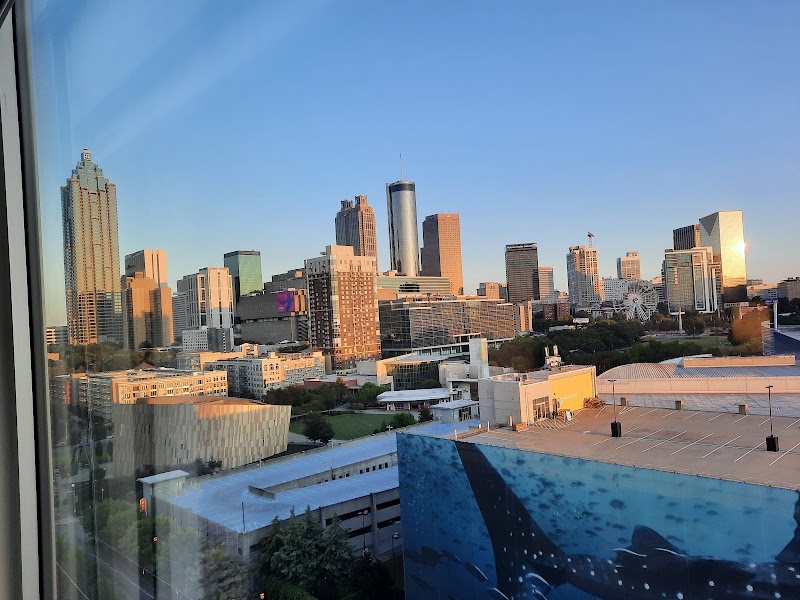 Photo 6 at SpringHill Suites by Marriott Atlanta Downtown in Atlanta
